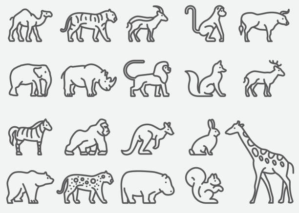 Jirafa y Elefante una Dinámica de Concentración